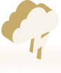 weather